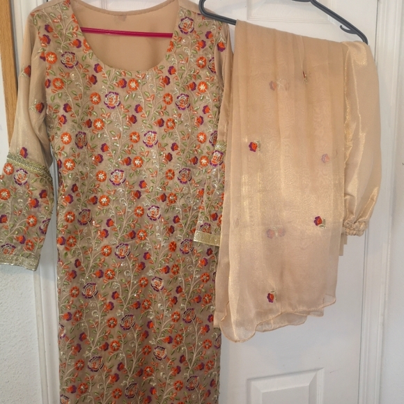 Pakistani Suit - Picture 1 of 11